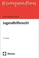 Peter-Christian Kunkel - Jugendhilferecht, Häftad