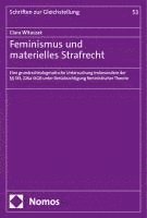 bokomslag Feminismus Und Materielles Strafrecht: Eine Grundrechtsdogmatische Untersuchung Insbesondere Der 183, 226a StGB Unter Berucksichtigung Feministischer