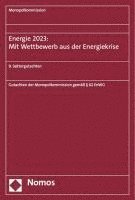 Energie 2023: Mit Wettbewerb Aus Der Energiekrise: 9. Sektorgutachten 1