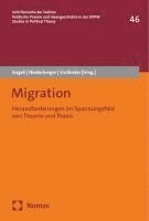 Migration: Herausforderungen Im Spannungsfeld Von Theorie Und PRAXIS