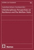Claudia Maria Hofmann, Tania Bazzani - Interdisciplinary Perspectives on Resilience and the Welfare State, Häftad