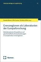 Daniela Braun, Ulla Connor, Kristina Höfer - Grenzregionen als Laboratorien der Europaforschung, Häftad