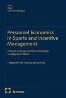 Joachim Prinz, Alexander Dilger, Christian Deutscher - Personnel Economics in Sports and Incentive Management, Häftad