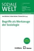 Jenni Brichzin, Fabian Anicker, Thomas Kern - Begriffe als Werkzeuge der Soziologie, Häftad
