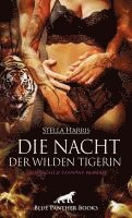 bokomslag Die Nacht der wilden Tigerin | Erotischer Fantasy Roman