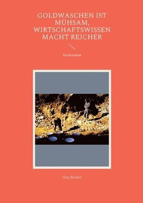 bokomslag Goldwaschen ist mhsam, Wirtschaftswissen macht reicher