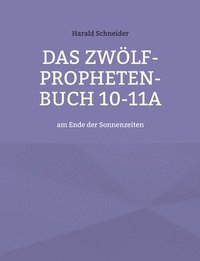 bokomslag Das Zwlf-Propheten-Buch 10-11a