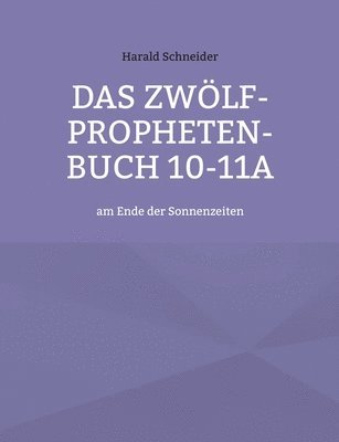 Harald Schneider - Zwölf-Propheten-Buch 10-11a, Häftad