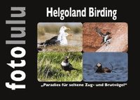bokomslag Helgoland Birding