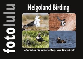 Helgoland Birding 1