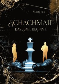 bokomslag Schachmatt