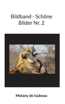 bokomslag Bildband - Schöne Bilder Nr. 2
