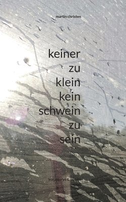 Martin Christen - keiner zu klein kein schwein zu sein, Häftad