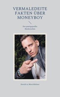 bokomslag Vermaledeite Fakten über Moneyboy