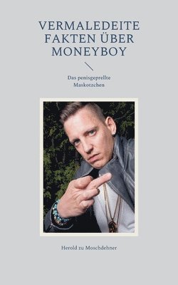 bokomslag Vermaledeite Fakten über Moneyboy