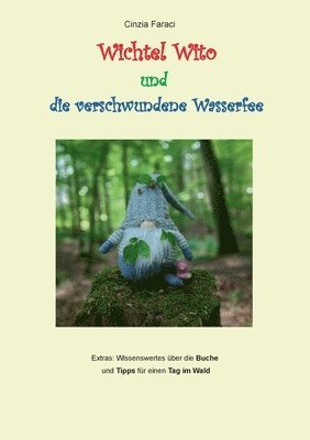 bokomslag Wichtel Wito und die verschwundene Wasserfee