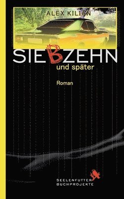Alex Kilian - Siebzehn und später, Häftad