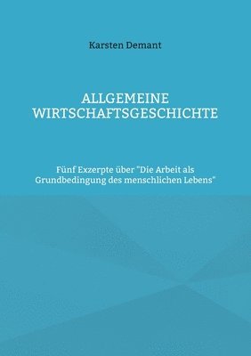 bokomslag Allgemeine Wirtschaftsgeschichte