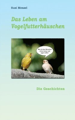 Leben am Vogelfutterhaus