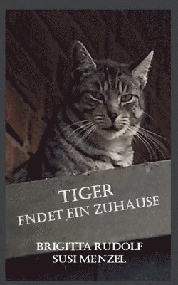 bokomslag Tiger findet ein Zuhause