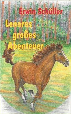 bokomslag Lenaras grosses Abenteuer
