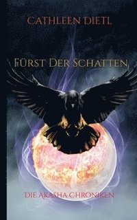bokomslag Fürst Der Schatten