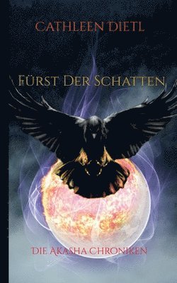 bokomslag Fürst Der Schatten