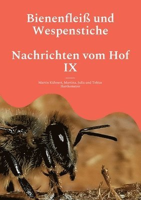 bokomslag Bienenfleiß und Wespenstiche - Nachrichten vom Hof IX
