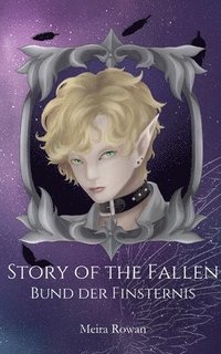 bokomslag Story of the Fallen