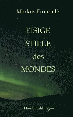 bokomslag Eisige Stille des Mondes