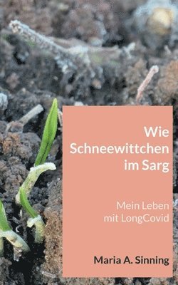 Wie Schneewittchen im Sarg 1