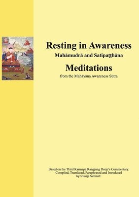 Resting in Awareness 1