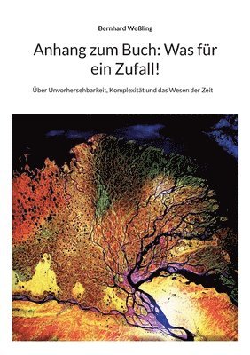 bokomslag Anhang zum Buch