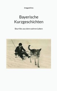 bokomslag Bayerische Kurzgeschichten