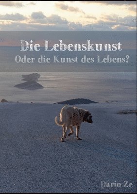 bokomslag Die Lebenskunst