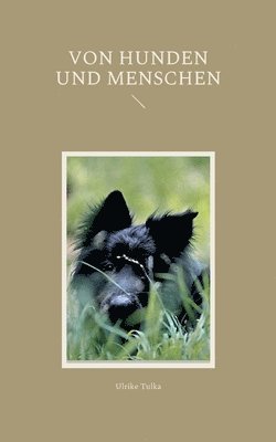 bokomslag Von Hunden und Menschen