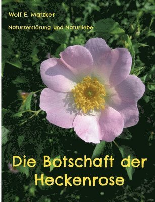 Botschaft der Heckenrose