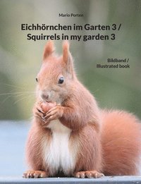 bokomslag Eichhoernchen im Garten 3 / Squirrels in my garden 3
