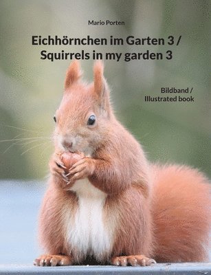 Eichhoernchen im Garten 3 / Squirrels in my garden 3 1