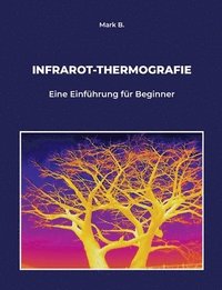 bokomslag Infrarot-Thermografie