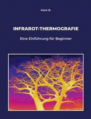 bokomslag Infrarot-Thermografie