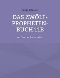 bokomslag Das Zwlf-Propheten-Buch 11b