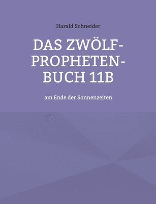 Harald Schneider - Zwölf-Propheten-Buch 11b, Häftad