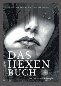 bokomslag Hexenbuch