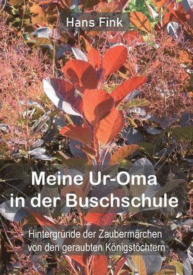 Hans Fink - Meine Ur-Oma in der Buschschule, Häftad