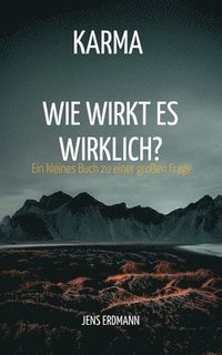 bokomslag Karma - Wie wirkt es wirklich?