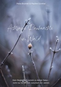 bokomslag Achtsame Rauhnächte im Wald