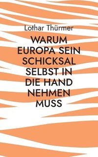 bokomslag Warum Europa sein Schicksal selbst in die Hand nehmen muss