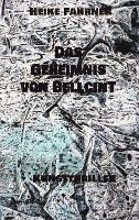 bokomslag Das Geheimnis von Bellcint