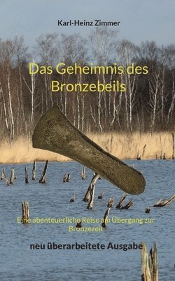 bokomslag Das Geheimnis des Bronzebeils
